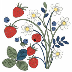 Fresh strawberries daisies blueberries summer bouquet illustration