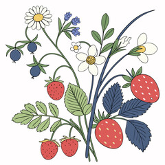 Fresh summer berries flowers bouquet isolated illustration