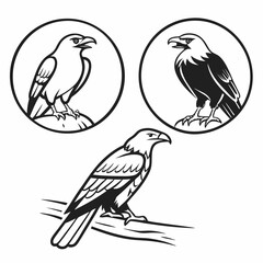 Majestic eagles and ravens in black and white
