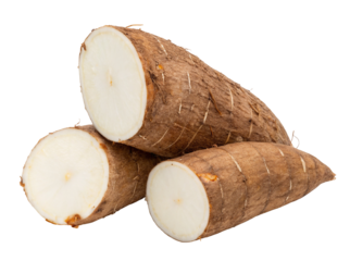Cassava root vegetable pile raw yuca tapioca healthy food ingredient cooking ingredient recipe ingredient