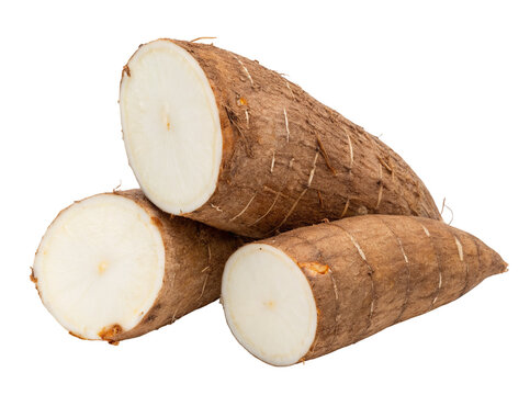Cassava root vegetable pile raw yuca tapioca healthy food ingredient cooking ingredient recipe ingredient