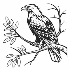Majestic eagle perched on branch black and white illustration