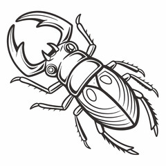 Professional stag beetle illustration transparent background
