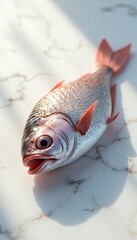 Fresh Fish on Marble Surface