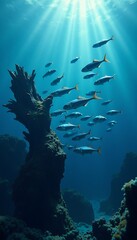 School of Fish Swimming Over Underwater Rock Formation