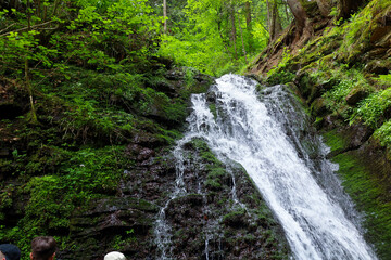A steep waterfall with clear water cascades down a rocky slope covered with green moss and...