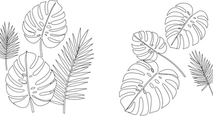 Monstera and palm leaf outline pattern on white background: tropical botanical design vector illustration