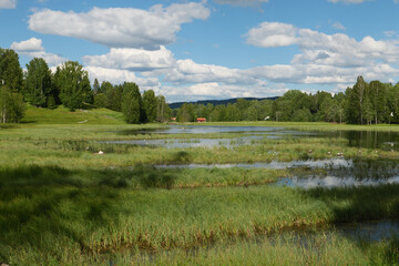 Wiese und See am Pilgerweg St. Olavsweg, Gudbrandsdalsleden bei der Pilgerherberge Risebru in der Nähe von Jessheim, Mogreina in Norwegen.