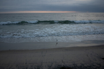 beach at sunset