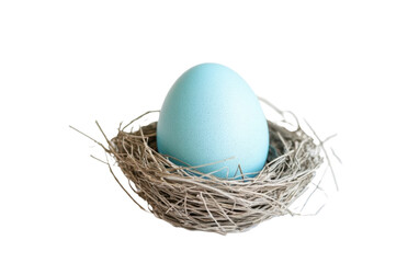 Blue egg is sitting in a nest made of twigs