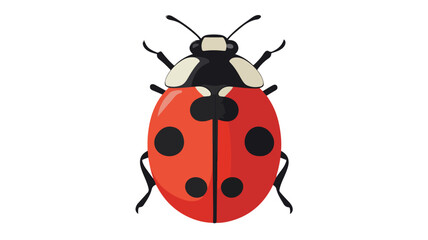 Colorful Ladybug Vector Illustration for Graphic Design Projects