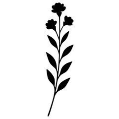 Chamomile Flower Vector