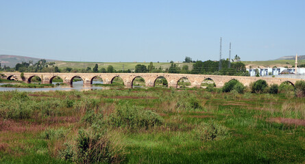 The Historical Kesik Bridge, located in Sivas, Turkey, was built in the 13th century.