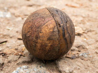 Close-up of a Weathered Nut on the Ground