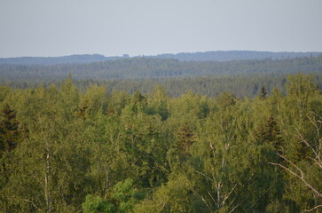 View of the forest from above. A dense, vast forest grows in the lowland. Tops of tall trees are visible. The forest consists of deciduous and coniferous trees and stretches far into the distance.