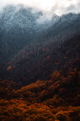 The Smoky Mountains Through the Seasons