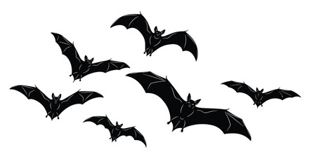 Fototapeta premium A Comprehensive Look at the Characteristics and Behaviors of Various Bat Species Worldwide