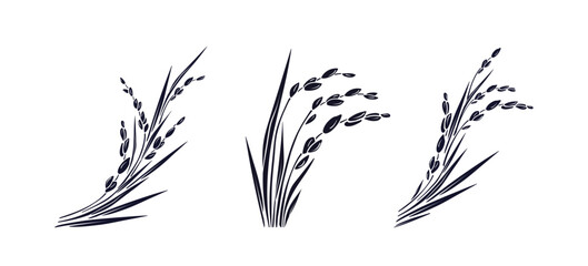 Rice plant, raw long grains Vector paddy ink  sign