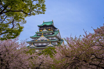 Osaka Castle with the beautiful lake surrounding it during Spring and the cherry blossoms , Osaka, Japan, South East Asia.
