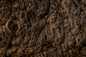close up of a stone wall texture