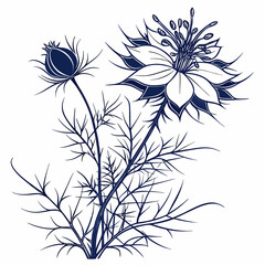 black and white love-in-a-mist