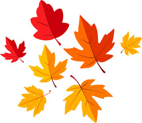 Fototapeta premium Colorful autumn leaves in shades of red, orange, and yellow 