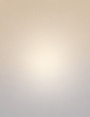 Light gray and taupe professional studio backdrop, delicate paper texture, soft central glow, neutral gradient for id photos 4
