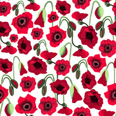 Red Poppy Floral Seamless Pattern on white Background