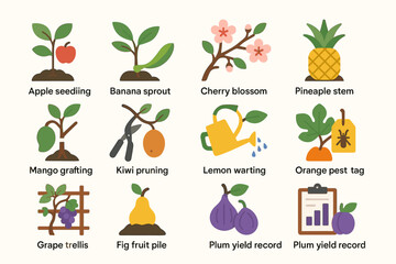 Illustrated plant growth stages and gardening tools collection