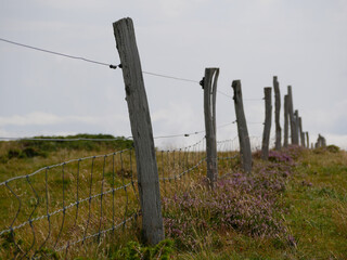 wooden meadow fence cutting through a mountain ridge
