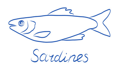 Hand drawn illustration of sardines showcasing their distinct features and anatomy