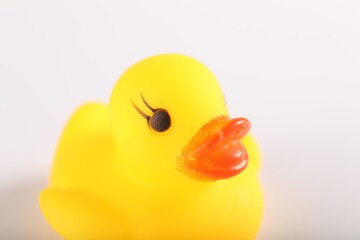 One cute rubber duck on white background, closeup