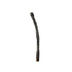 One burnt match isolated on white. Tool for starting fire
