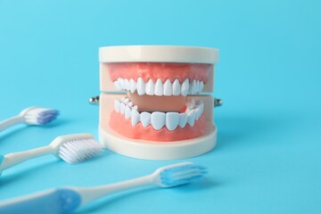 Dental model and toothbrushes on light blue background, closeup