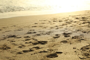 Sandy beach with footprints near sea, closeup