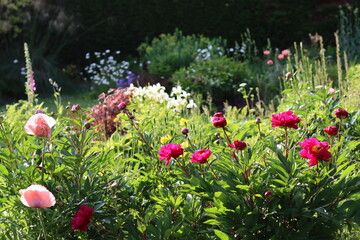 Cottage garden with a bed of colourful flowers