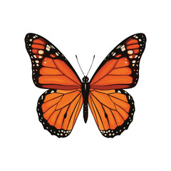 A Vivid Monarch Butterfly with Detailed Wing Patterns