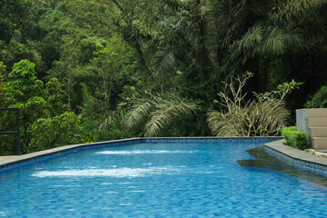 Outdoor swimming pool with clear water and green plants