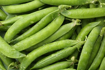 Fresh green pea pods as background, top view