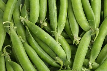 Fresh green pea pods as background, top view