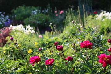 Cottage garden with a bed of colourful flowers