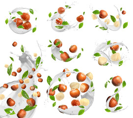 Nut milk splashes with hazelnuts and green leaves in air on white background, collage