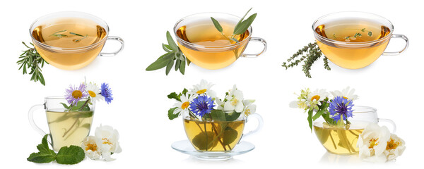 Herbal tea in glass cups and fresh herbs isolated on white, collage