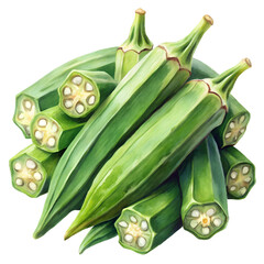Fototapeta premium Watercolor okra pod on transparent background 