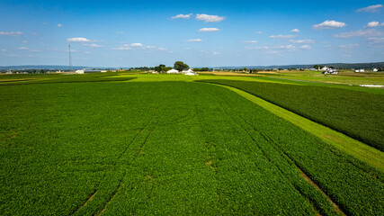A vast landscape showcases lush green fields stretching to the horizon, with a few farmhouses dotted throughout the area. The bright blue sky is lightly clouded, enhancing the serene rural setting.