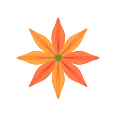 Bright orange flower with eight petals in a modern design