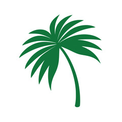 Palm Leaf Vector Graphic
