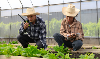 Two young farmers are working research vegetable project inside a greenhouse with digital tablet and walkie-talkie , green vegetables farm, smart farm 