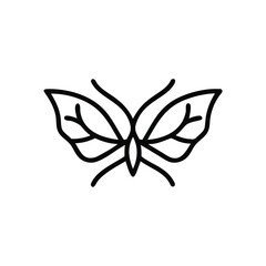 abstract butterfly leaves vector illustration