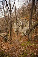 Landscape in Dolina Będkowska,  Jura Krakowsko-Częstochowska, Poland